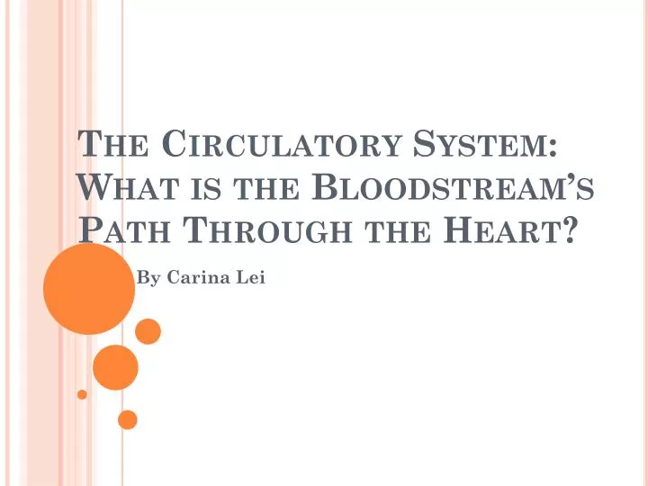 the circulatory system what is the bloodstream s path through the heart