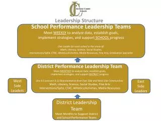 Leadership Structure