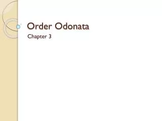 Order Odonata