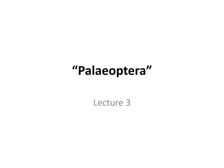 palaeoptera