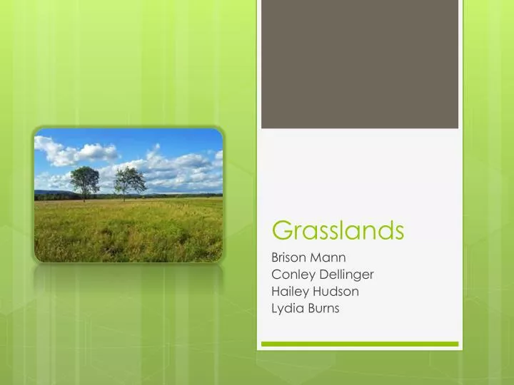 grasslands