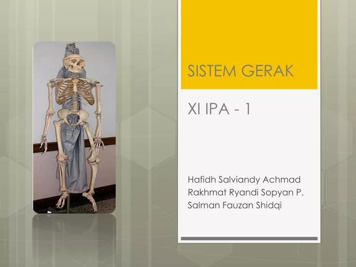 sistem gerak xi ipa 1