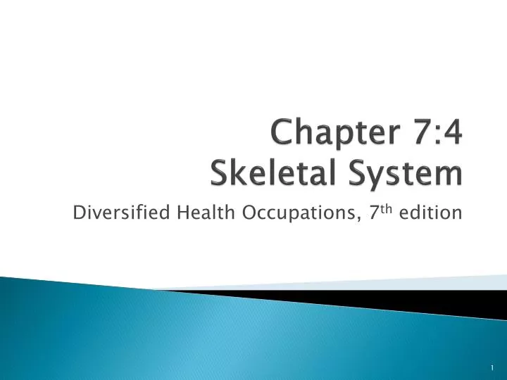 chapter 7 4 skeletal system