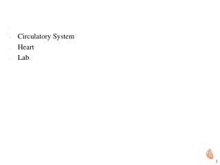 Circulatory System Heart Lab