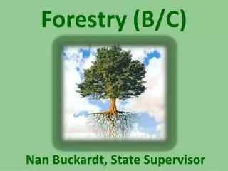 Forestry (B/C)