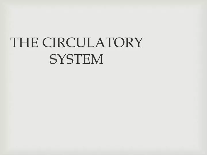 the circulatory system