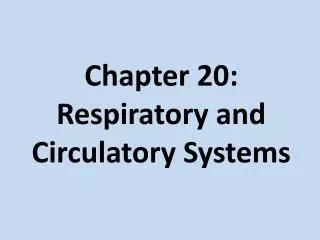 Chapter 20: Respiratory and Circulatory Systems