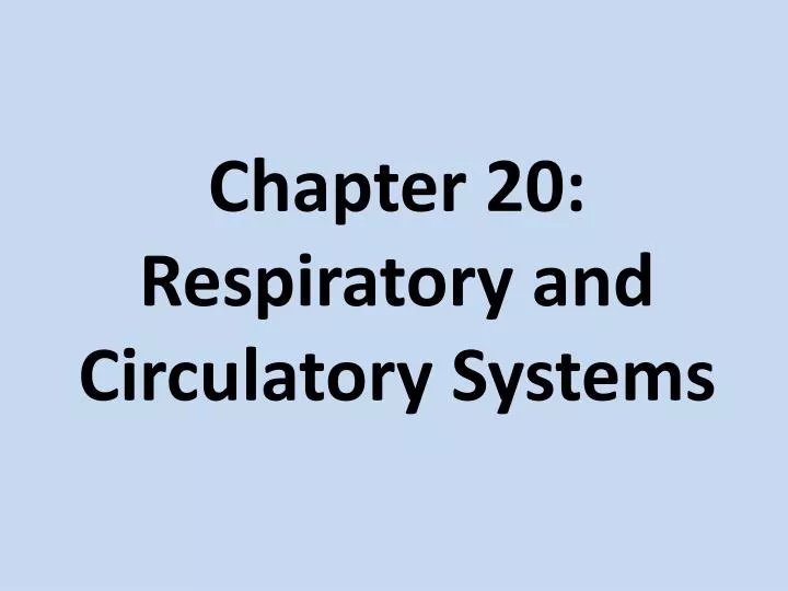 chapter 20 respiratory and circulatory systems
