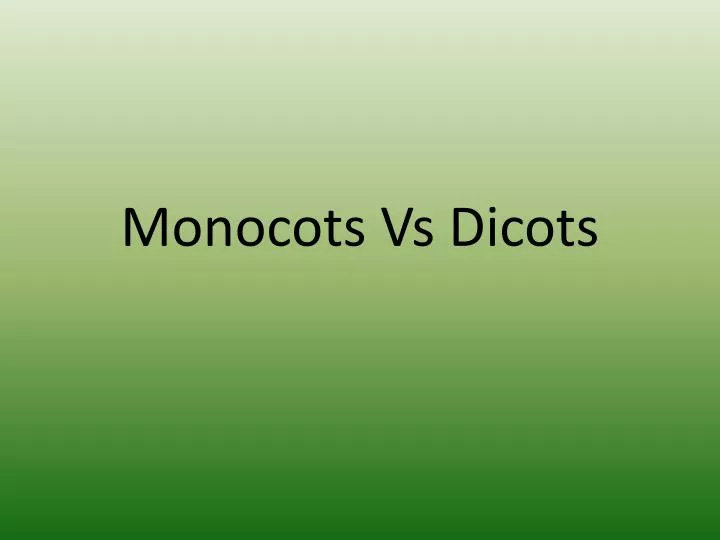 monocots vs dicots