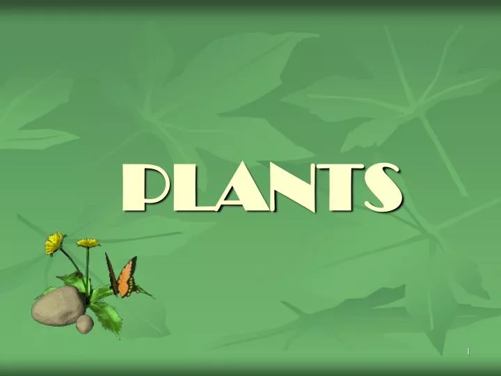 plants