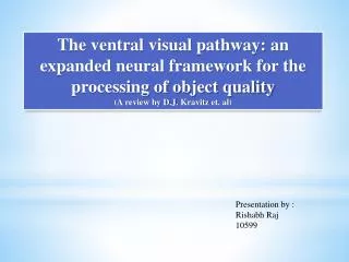 The ventral visual pathway: an expanded neural framework for the processing of object quality