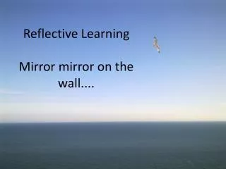 Reflective Learning Mirror mirror on the wall....