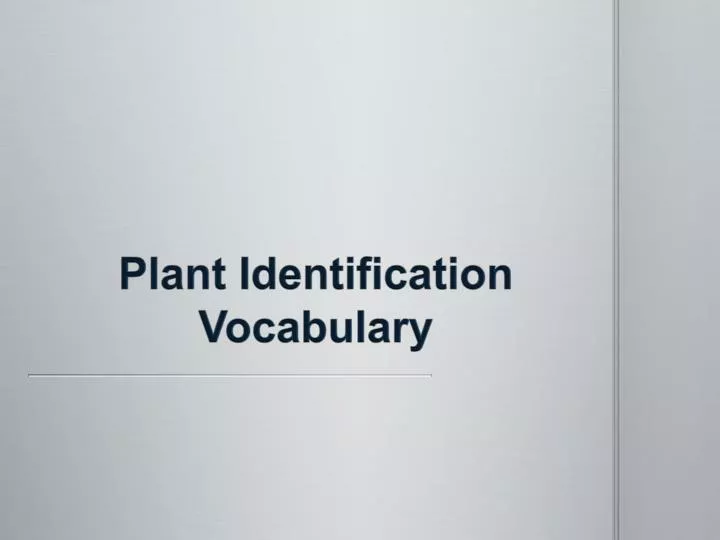plant identification vocabulary