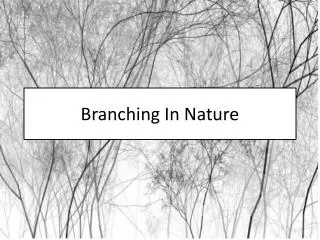 Branching In Nature