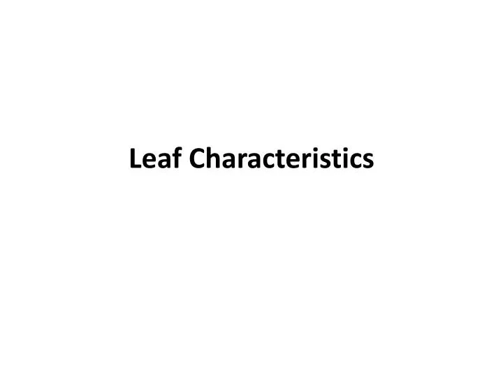 leaf characteristics