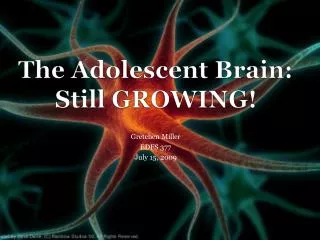 The Adolescent Brain: Still GROWING!