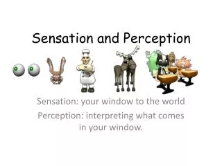 Sensation: your window to the world Perception: interpreting what comes in your window.