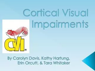 Cortical Visual Impairments