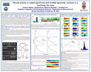 Neural activity in rodent perirhinal and medial agranular cortices in a Go/Delay-Go task