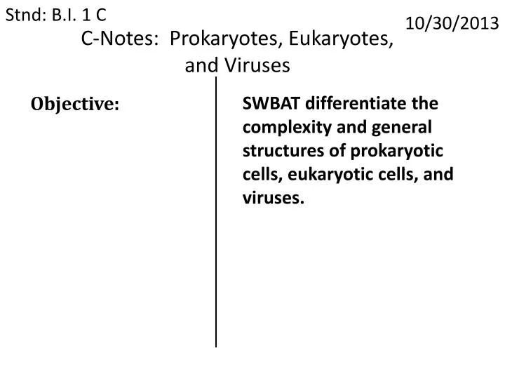 c notes prokaryotes eukaryotes and viruses