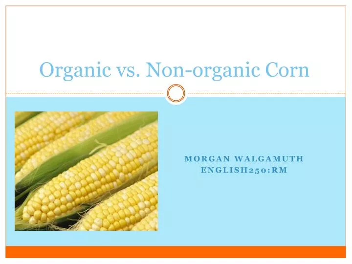 organic vs non organic corn