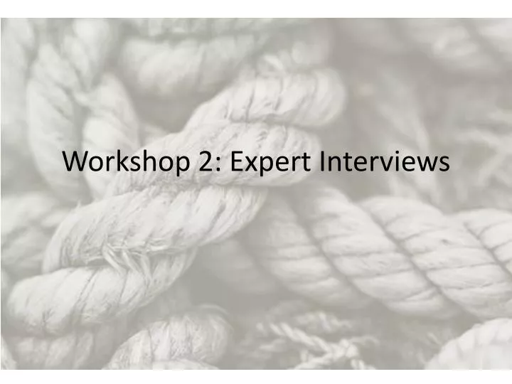 workshop 2 expert interviews