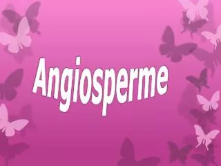 Angiosperme