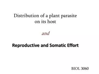 Distribution of a plant parasite on its host and Reproductive and Somatic Effort