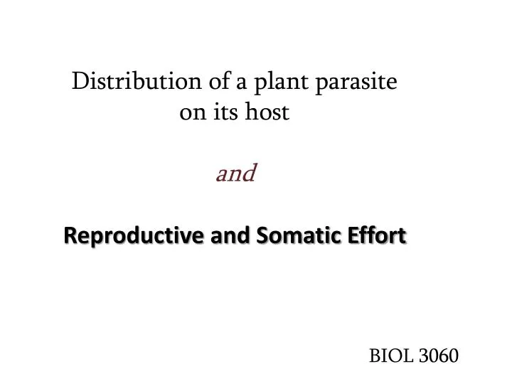 distribution of a plant parasite on its host and reproductive and somatic effort