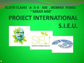 proiect international s i e u