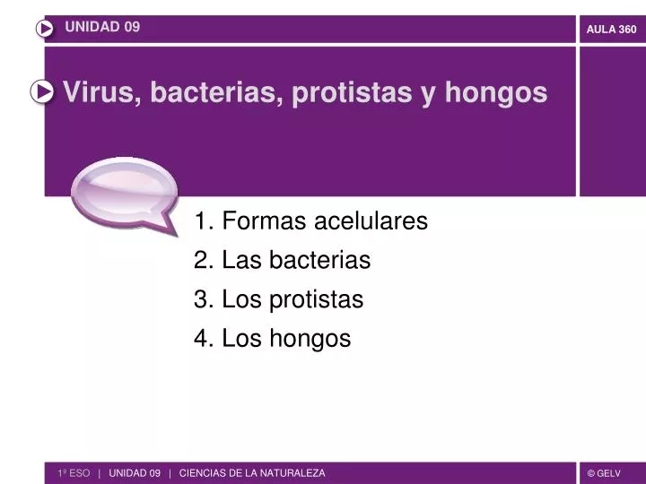 virus bacterias protistas y hongos