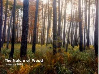 The Nature of Wood January 2012