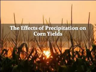 The Effects of Precipitation on Corn Yields