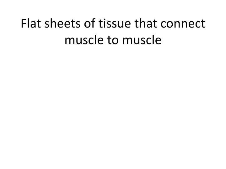 flat sheets of tissue that connect muscle to muscle
