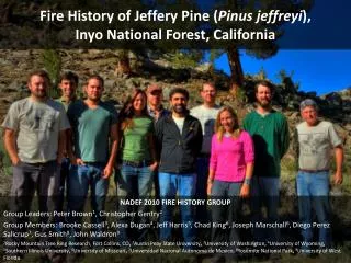 Fire History of Jeffery Pine ( Pinus jeffreyi ), Inyo National Forest, California