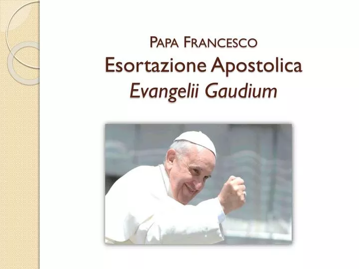 papa francesco esortazione apostolica evangelii gaudium
