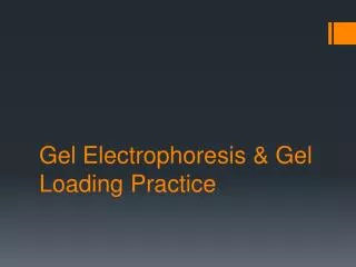 Gel Electrophoresis &amp; Gel Loading Practice