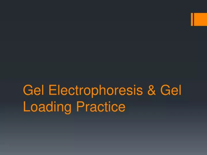 gel electrophoresis gel loading practice