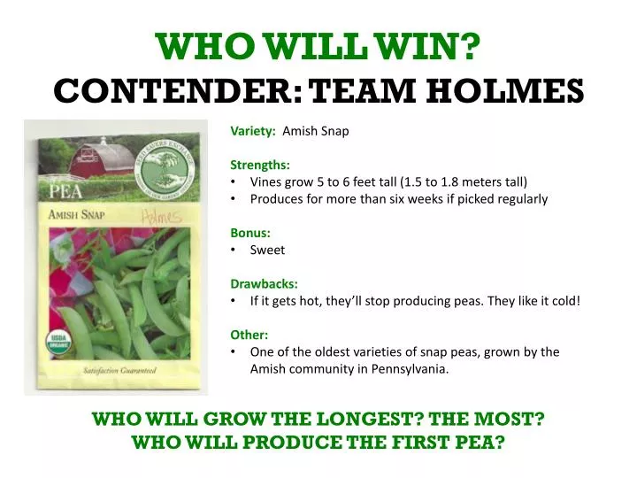 who will win contender team holmes
