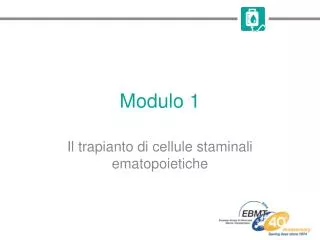 modulo 1