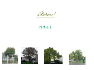 arbres