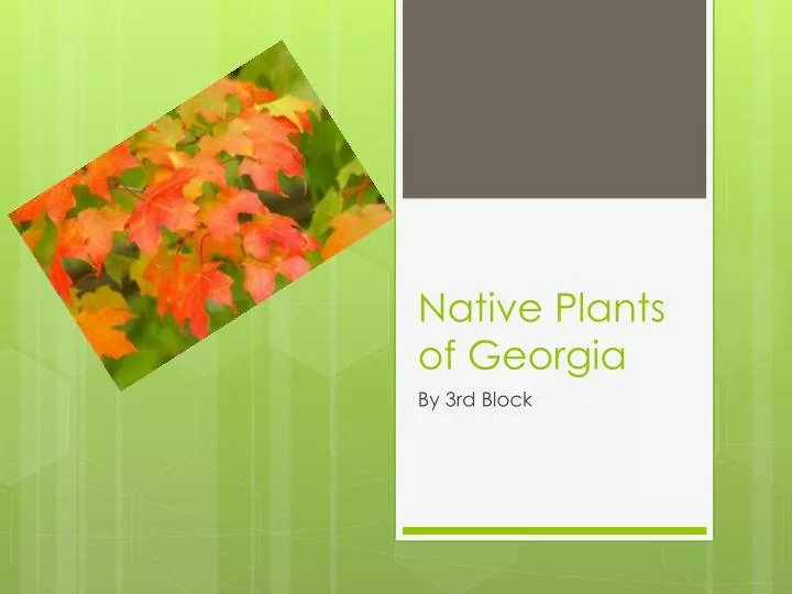 native plants of georgia