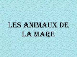 les animaux de la mare