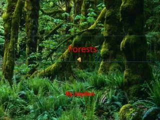 Forests