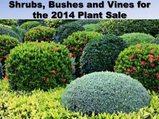 Shrubs, Bushes and Vines for the 2014 Plant Sale