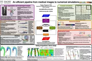 An efficient pipeline from medical images to numerical simulations
