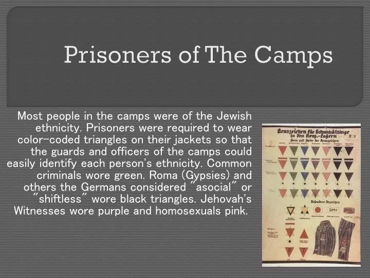 prisoners of the camps