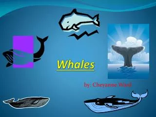 Whales