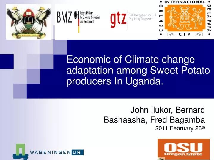 economic of climate change adaptation among sweet potato producers in uganda