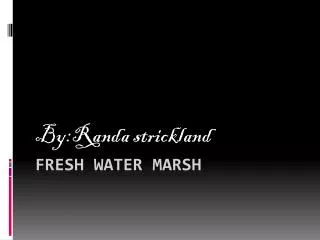 Fresh water Marsh